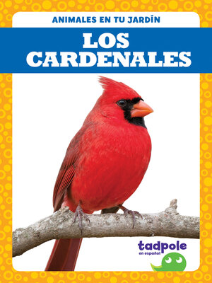 cover image of Los cardenales (Cardinals)
